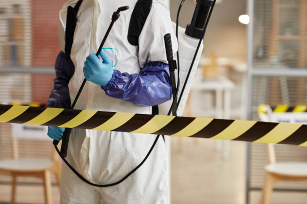 Professional Sewage Cleanup technician working in Sheridan, CO